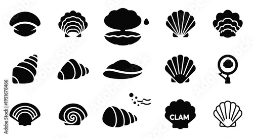 Assortment of seashell and clam icons showcasing diverse shapes and patterns, simple vector