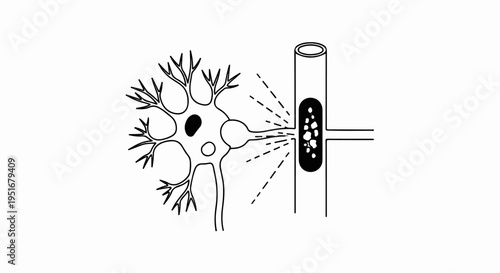 Neuron releasing neurotransmitters into a synaptic cleft