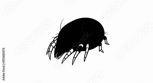 Stylized black insect with eight spindly legs on white background