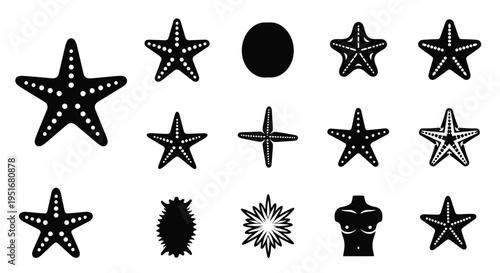 Set of starfish icons and other marine organism symbols, underwater collection