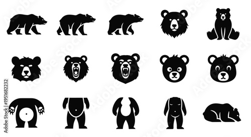 Set of cute bear icons on white background for your design