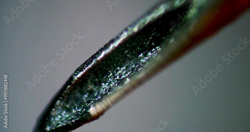 Extreme Macro View Rotating Counter Clockwise showing Microscopic Tip of Surgical Needle Injecting Botulinum Toxin under Human Skin Layer for Anti Aging Treatments and Facial Rejuvenation Scene