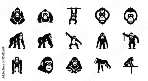 Set of orangutan icons. collection of orangutan linear icons