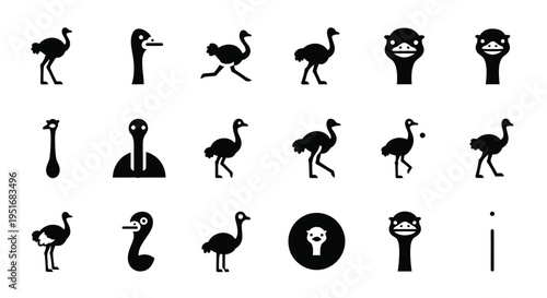 Set of ostrich bird silhouettes in different poses and icons