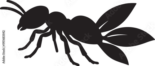 Ant Icon – Vector Illustration