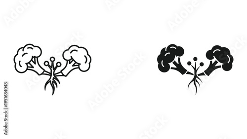 Broccoli Stem Sprouts Growth Concept