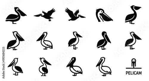 Set of black and white pelican icons showcasing different poses and views of large water birds on white background