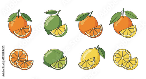 Collection of whole and sliced citrus fruits including oranges lemons and limes are illustrated in a hand drawn style for juice and food themes.