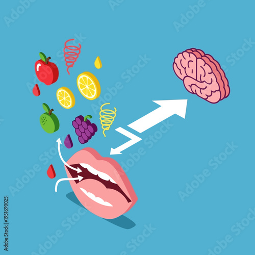 An illustration depicting the process of taste perception, from mouth to brain.