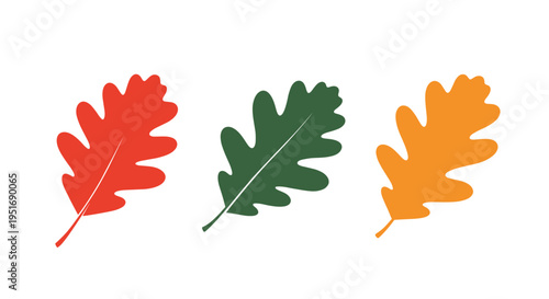 Three oak leaves in bright red green and yellow colors are arranged in a row against a white background to represent autumn seasonal changes.