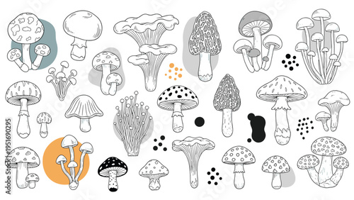 Large collection of hand drawn mushrooms in different shapes and sizes with simple color accents on a white background.