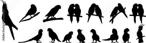 Parrot silhouette, lovebirds, vector