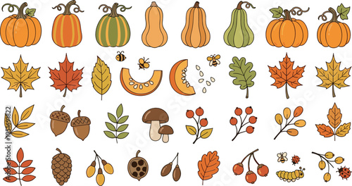 Autumn nature collection with pumpkins leaves acorns berries mushrooms and insects decorative vector illustration set