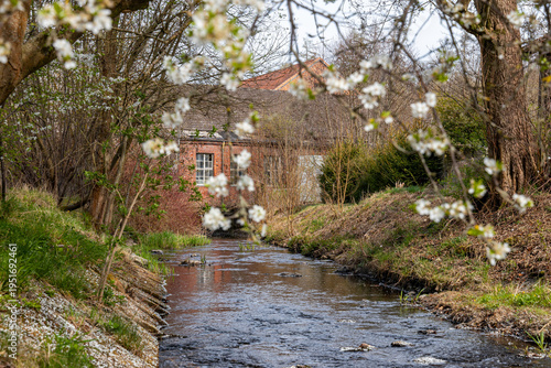 Bilder aus GÜntersberge Selketal