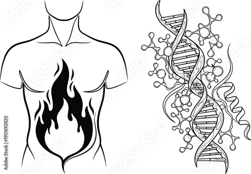 Human torso with fire and molecular structure illustration representing genetic energy isolated on white background, Vector