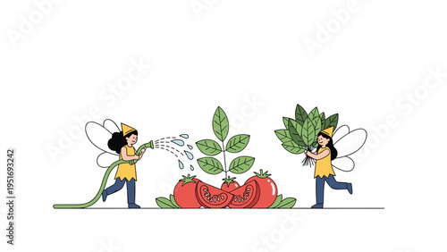 Two little fairies with wings watering and gathering fresh vegetables including tomatoes and leaves in a whimsical garden.