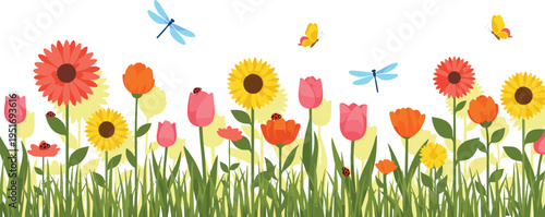 Beautiful spring garden meadow vector illustration with colorful flowers sunflowers tulips butterflies and dragonflies isolated on white background for nature projects and summer decor
