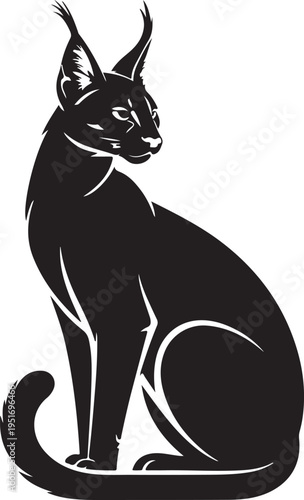 Black caracal silhouette of majestic wild African desert cat sitting alertly