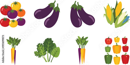 Vegetable Variety Vector Illustration Showing Tomato Eggplant Corn Carrot and Leafy Greens