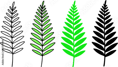 Fern illustration icon set, in outline, silhouette and colored, for plant or botanical designs