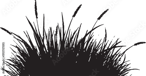Black silhouette of a tuft of grass against a white background