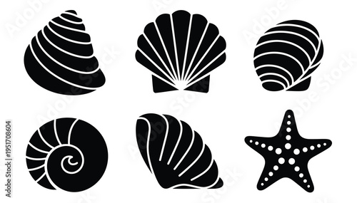 Sea Shell Black Icon Set Clam Starfish Seashell Vector