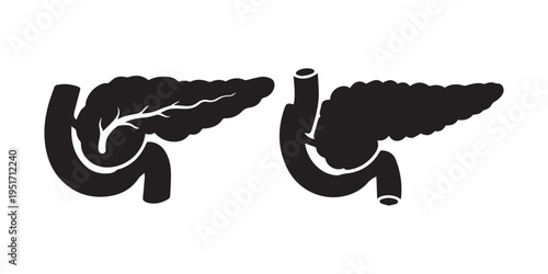 set of pancreas icon in black and white glyph versions, Pancreas icon black silhouette white background,stock edit,