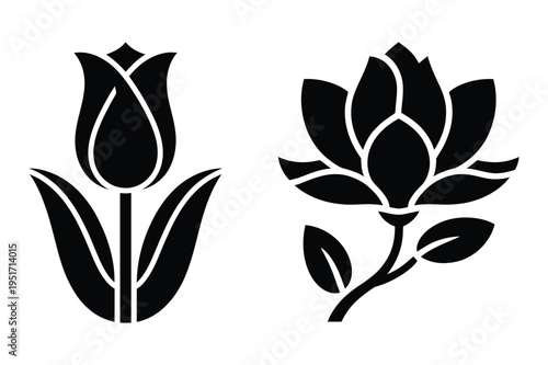 Tulip and magnolia flower illustration icon set vector