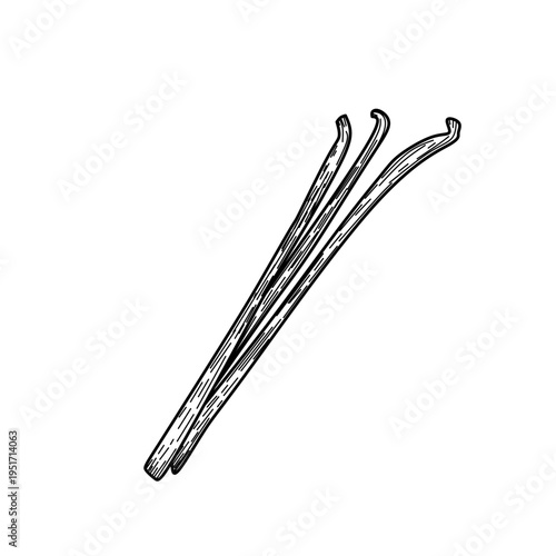 Vintage Hand Drawn Vanilla Beans