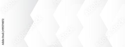 Vector Minimalist abstract geometric design and clean white lines and repeating zigzags and modern art background and subtle interplay of light and shadow and sophisticated visual texture.