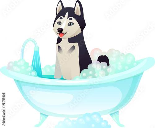 Husky dog enjoying soap bubbles bath grooming