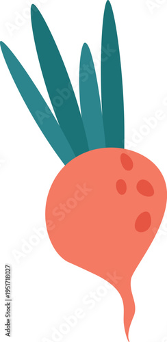 Stylized fresh radish with green leaves illustration