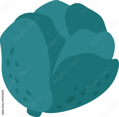 Cabbage head illustration for healthy food concepts
