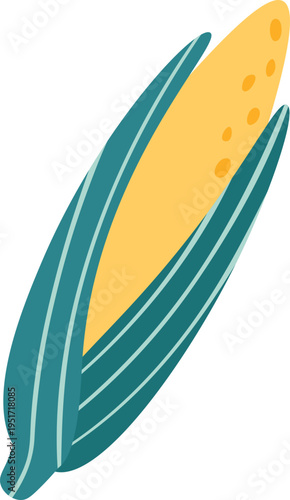 Corn cob illustration showcasing harvest and agriculture