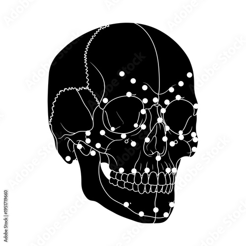 Black Silhouette of a Skull with Facial Reconstruction Markers for Forensic Science and Investigations