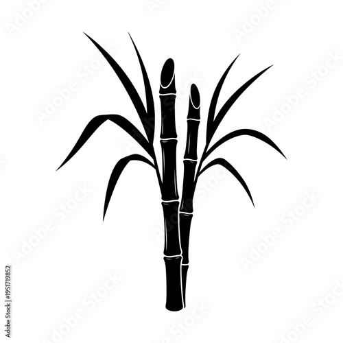 Black Silhouette of a Sugar Cane Stalk for Rum Distilling Ingredients and Agricultural Growth
