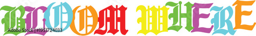 Bloom where slogan in colorful medieval gothic blackletter calligraphy