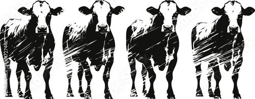 four black and white cows standing in a row, rustic farm illustration