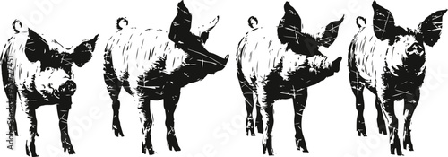grayscale pig silhouettes in various poses standing and looking forward isolated on white