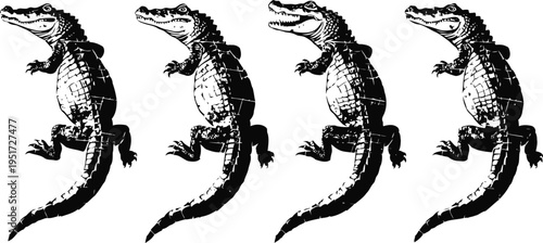 Four black and white alligator illustrations in a row, vintage engraved design