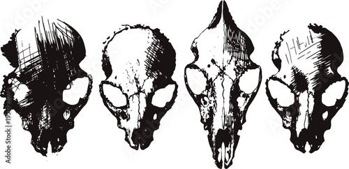vintage animal skulls detailed monochrome illustrations set isolated on white background