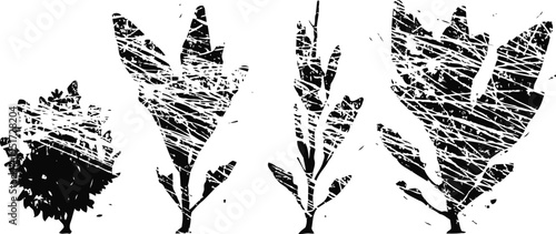 grunge silhouette herbs set of four distressed botanical leaves vintage herbal design elements