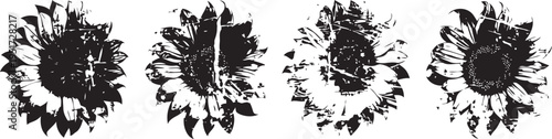 black and white sunflower silhouettes set floral design elements isolated on white background