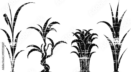 Set of four grunge sugarcane silhouettes with textured rough edges and vintage look