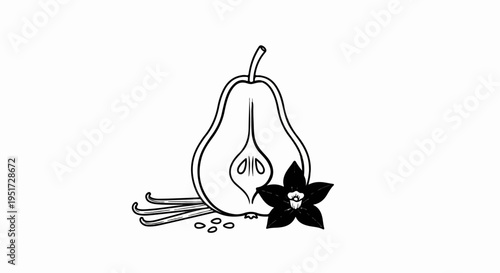 Pear, vanilla beans, and flower illustration