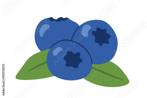 blueberries with leaves icon, perfect for summer-themed apparel, home decor , packaging, stationery items and and greeting cards- vector illustration