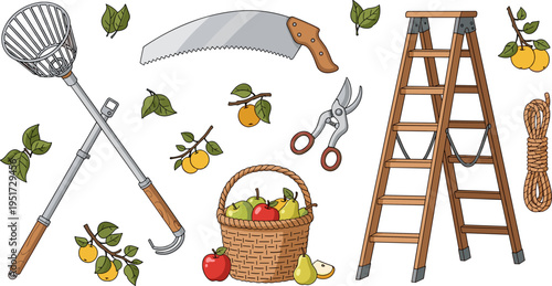 Fruit Harvesting and Garden Tools Set with Rake, Pruning Saw, Shears, Ladder, Rope, and Basket of Apples and Pears Illustrations