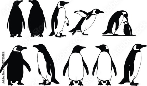 Penguin silhouette set, arctic wildlife collection, emperor penguin icons, winter animal poses, mother and baby penguin, and antarctic bird vector illustrations.