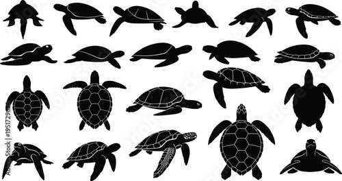 Sea turtle silhouette set, marine reptile collection, aquatic animal icons, ocean wildlife nature symbols, swimming tortoise vectors, and tropical underwater life.