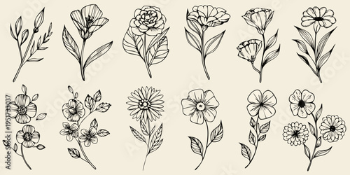 A collection of delicate floral sketches featuring various blooming flowers